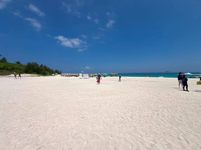 ���[�r�[�`