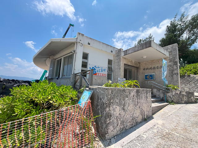 ���[�`���q�ҍ����̎ʐ^