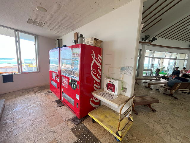 ���[�`���q�ҍ����̌������ɂȂ���ݕ��̎����̔��@�̎ʐ^