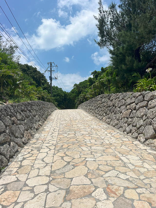 ���[���̎V�����瑱�����̊ɂ₩�ȏ���̎ʐ^