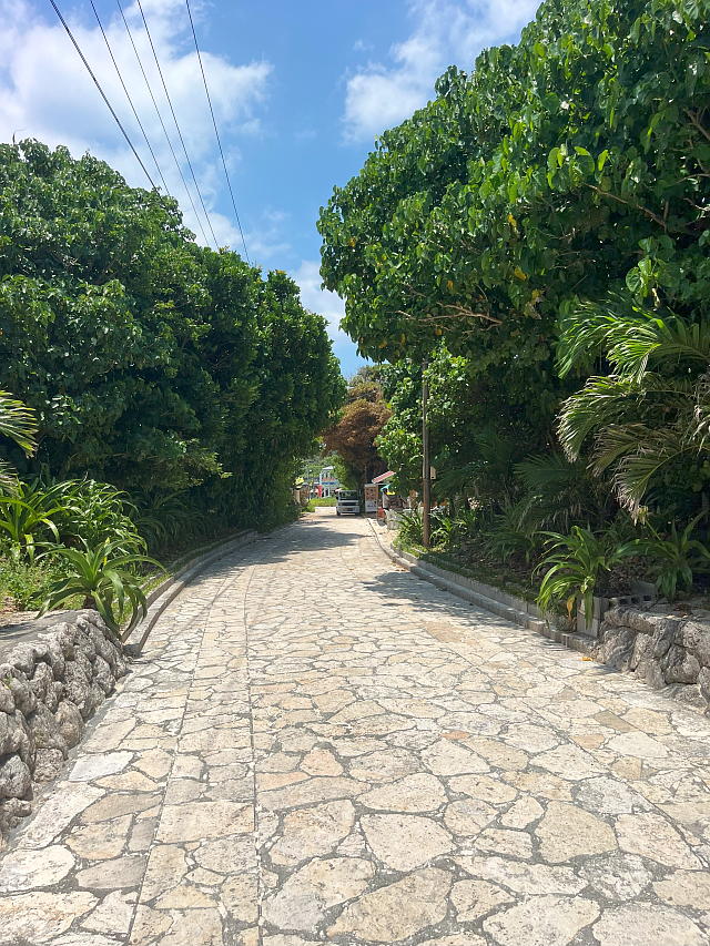 ���[���̎V�����瑱�����̊ɂ₩�ȏ��₩��ɂ₩�ȉ����ɂȂ����Ƃ���̎ʐ^