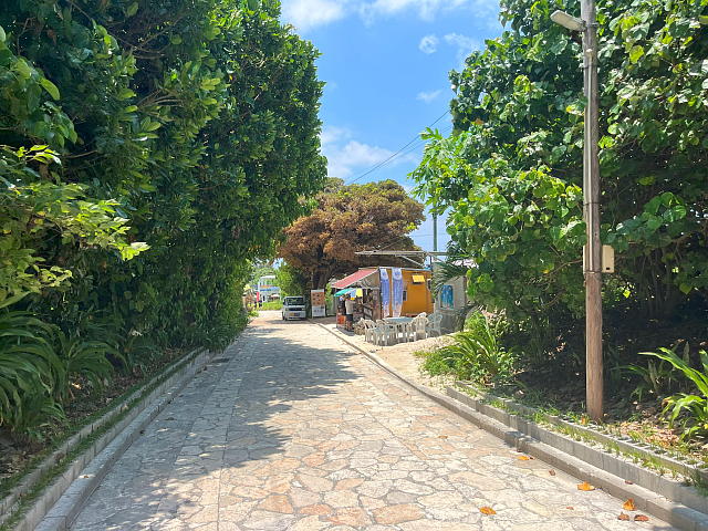 ���[���ŐH�����ł��邨�X�������Ă����Ƃ���̎ʐ^