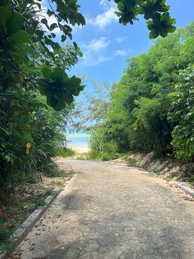 ���[�r�[�`�̔��Α��ɂ���r�[�`�������Ă����Ƃ���̎ʐ^