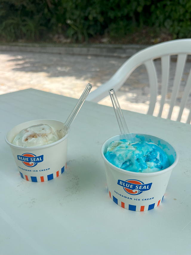 ���[���̐H�����ŃA�C�X�N���[����H�ׂĂ���ʐ^