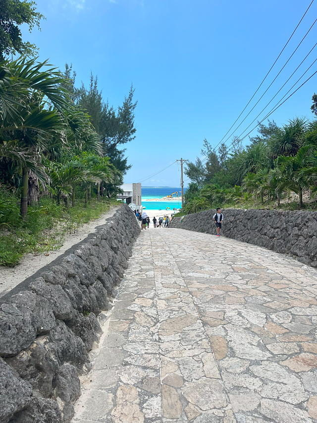 ���[���̎V���␅�[�r�[�`�������Ă����Ƃ���̎ʐ^